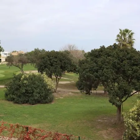 Blue Nova Met & Golf Oliva