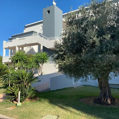 Blue Nova Met & Golf * Oliva