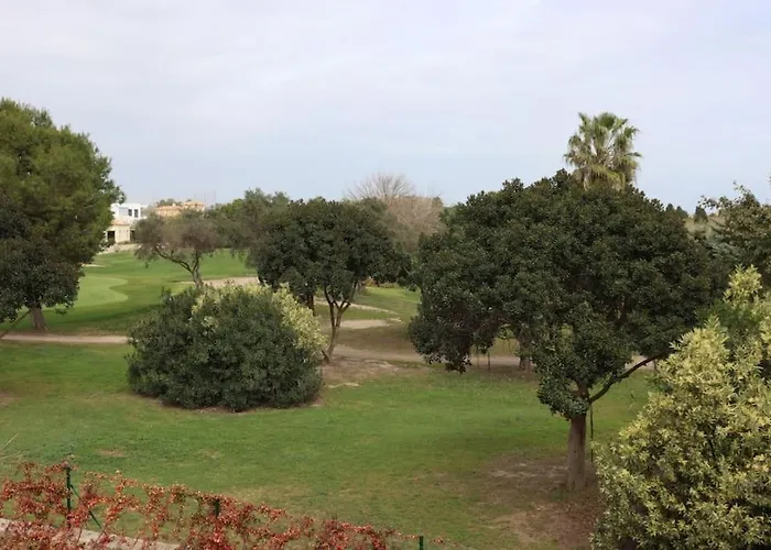 Blue Nova Met & Golf Oliva