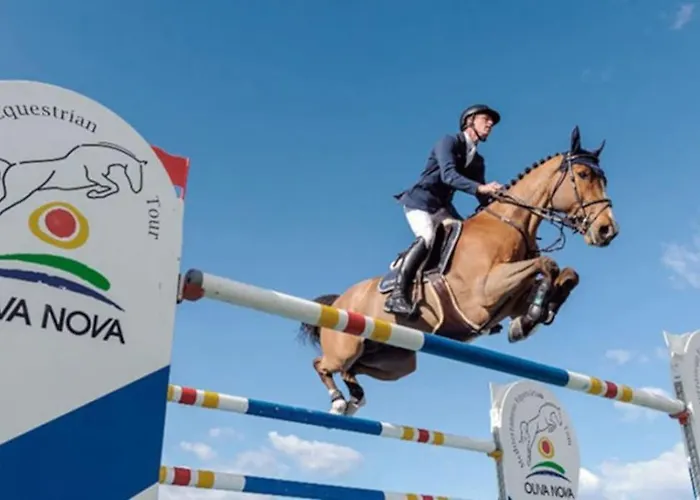 Appartamento Blue Nova Met & Golf Oliva